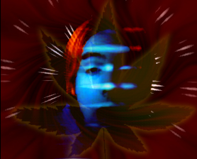scott, way... too... high